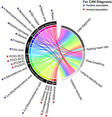 Cardiovascular Autonomic Neuropathy in Type 1 Diabetes Is Associated With Disturbances in TCA, Lipid, and Glucose Metabolism